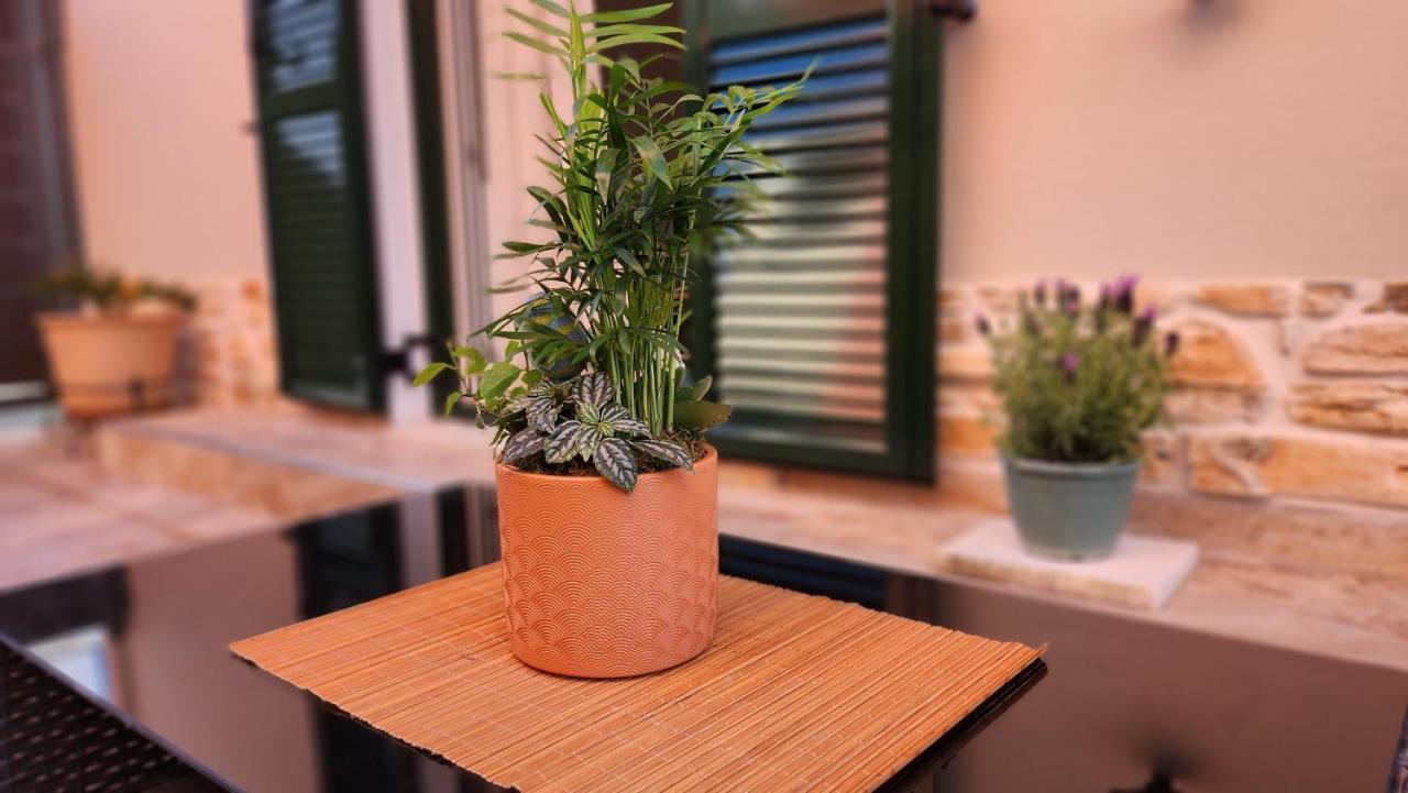 Pieri House Corfu Apartment Ipsos Exterior photo
